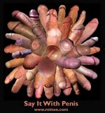 say-it-with-penis.jpg