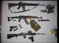 guns.jpg