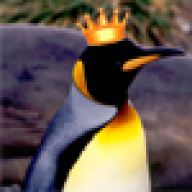 penguinbc