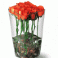karthikwebseo