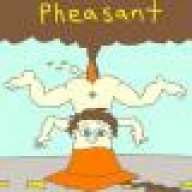 Pheasant