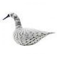 thegreyswan