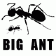 Big Ant
