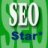 SEOstar*