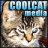 coolcat_media