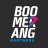 Boomerang Partners